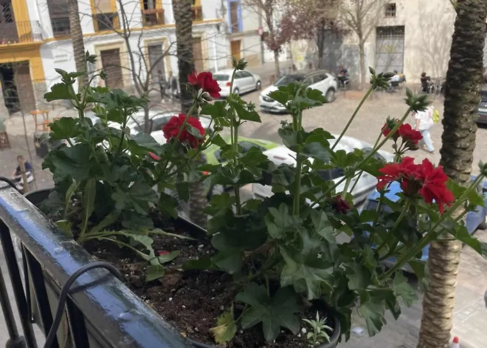 Centrico Corredera *