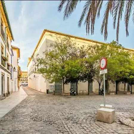 Centrico Corredera Lejlighed *