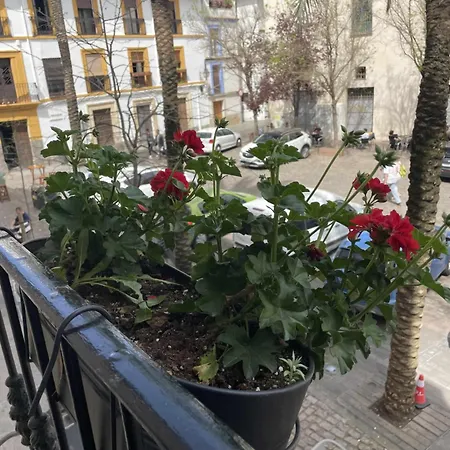 Centrico Corredera *